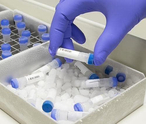 CO₂ Dry Ice – Food Grade 5kg (Lahore only)